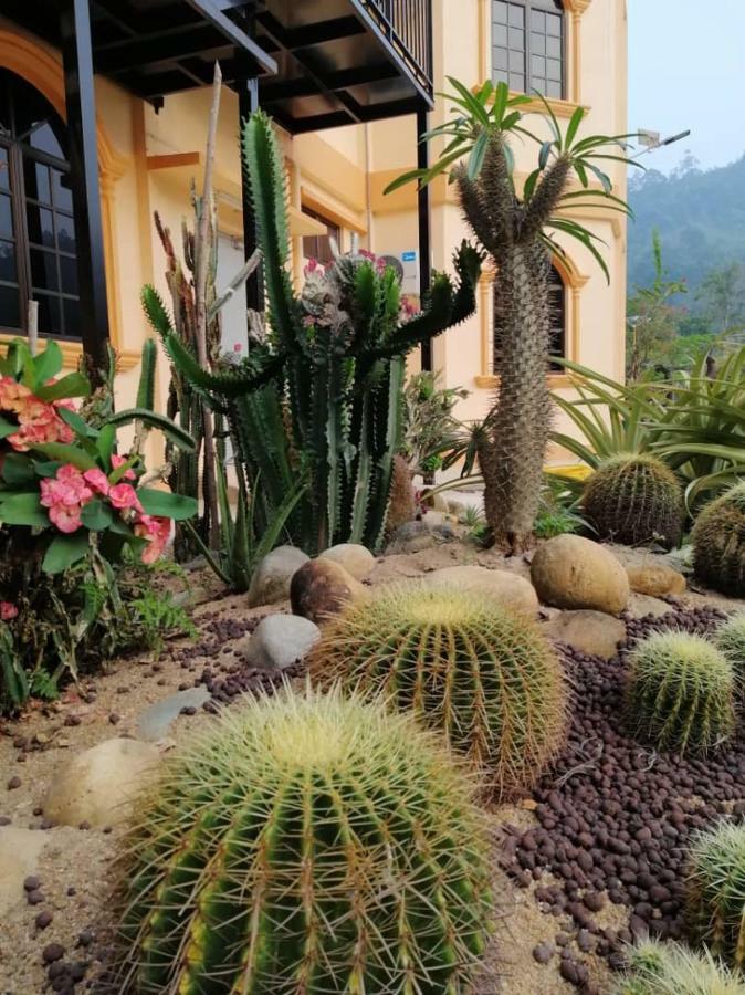 Castle Homestay *